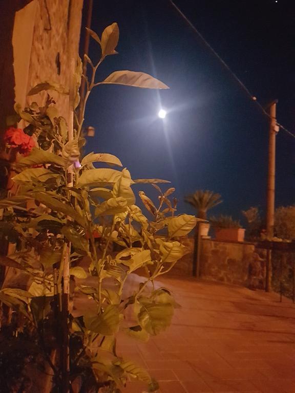 Affittacamere Adri Uzzano المظهر الخارجي الصورة
